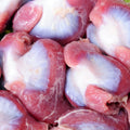Chicken Gizzard