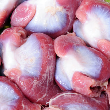Chicken Gizzard