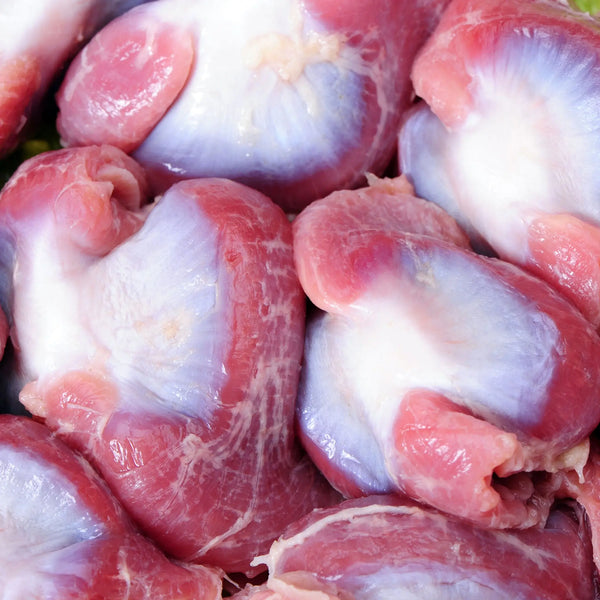 Chicken Gizzard