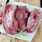 Pig Kidney 
