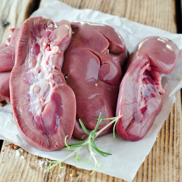 Pig Kidney 