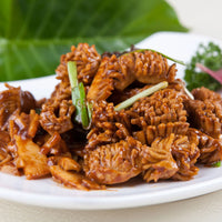 Pig Kidney 