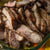 Skirt Steak