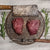 White Tail Venison Loin Chops